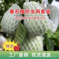 Guava Fruit Bagging Bag Guava Net Bag Special Bag Fruit Universal Protection Bag Fruit Net Bag Insec