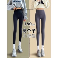 Tall Leggings 8812.31