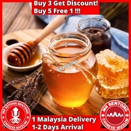 MR BENTONG HONEY Madu Asli Hutan Premium Pure Honey 野蜜蜂蜜 Tualang Kelulut Royale Jelly Sarang Lebah V