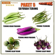 Biji Benih Paket 5 Macam Benih Sayuran Terong F1 Hibrida Bibit Sayur Terong Lalap Ungu Hijau Telunju
