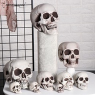 FAVORITEGOODSS2BJ 1PC Human Skeleton All Size Party Decoration Game Supplies Hanging Decor
