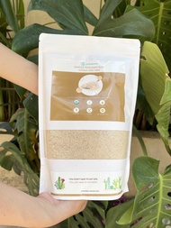 ✅Bột Vỏ Hạt Mã Đề JC BLUEMOON Giúp Nhuận Tràng