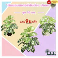 ( Minimal Style) ต้นมอนสเตอร่า ใบด่าง สูง 70 ซม.  ต้นไม้ปลอม ต้นไม้ประดิษฐ์ Leeartplants