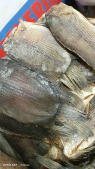 ikan asin tembakang/betok sepat bulan kualitas super uk besar tebal daging nyah