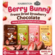 [Spacelab] Harriston Berry Bunny Strawberry Coated With Dark Chocolate