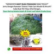 Daun KERING Belalai Gajah Sabah Snake Grass Dried Leaf (SSG) - Penawar Kanser