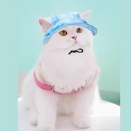 - - (粉藍色)小貓帽子貓咪漁夫帽狗狗柯基拍照夏季薄小狗防曬夏遮陽防勒耳(S)-平行進口