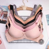 Sunny Cup A Nonwire bra Size: 36-46A 268