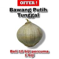 Bawang Putih Tunggal / Bawang Lanang Bawang Tunggal 1 biji