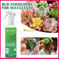 Yegbong Succulent Plant Bud Fertilizer Plant Nutrient Solution Foliage Cultivation Potted Succulent Fruit Tree Fertilizer