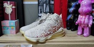 Lebron 17 winwin us10.5