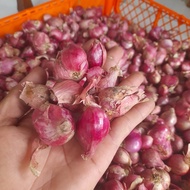 Bawang merah Brebes super - Bawang merah Brebes 500 gram segar
