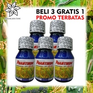 FUNGISIDA FHANTHOM 425 SC 250ml BELI 3 GRATIS 1 Bahan aktif azoksistrobin 200 g/l difenokonazol 125