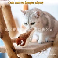 Mainan Kucing Burung Terbang, Mainan Burung untuk Kucing, Mainan Kucing Burung Berkibar, Mainan Kuci