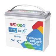 Redodo 12V 100Ah Mini LiFePO4 Battery, Smallest Lithium Battery with Upgraded 100A BMS, Max 1280Wh, 