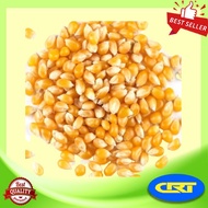 Popcorn Butterfly Kernel/ Bertih Jagung Butterfly/ Jagung Popcorn/ Seed/ Mushroom/ Corn/ Caramel/ Pop 500g