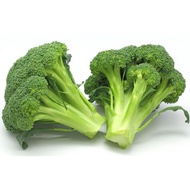 20.Broccoli/西兰花 Seeds 50pcs Free Postal Mail in SG