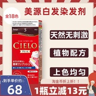 HOYU beauty source cielo hair pure plant dyes imported from