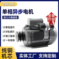 B3 All Copper Movement Low Noise Hard Ice Machine YL712-4 Single Phase Horizontal Pulley Motor 450W 