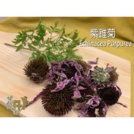 [AT AT] Echinacea Dried Flowers Hydrosol Handmade Soap Soaking Oil Material Western Herbal Spices Fl