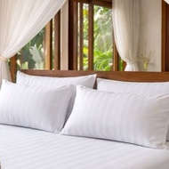 Pillow Case 70x50 - Stripe 3cm TC300 White