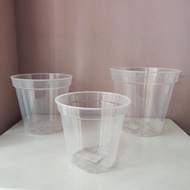 Transparent pot / Clear pot /  Aroid pot