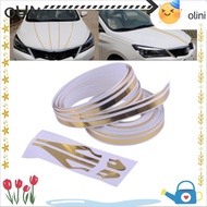 OLINI Car Body Decal  Racing Decoration Pinstripe Steamline
