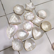 Mini plate shell white mini shell white plate