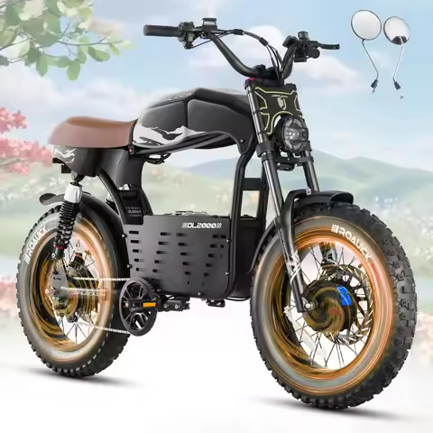 DL2000 4000W Dual Motor Electric Bike 52V 30AH 20'' 44MPH 90Miles