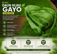 Daun herbal hijau gayo khas aceh 100gr200gr500gram