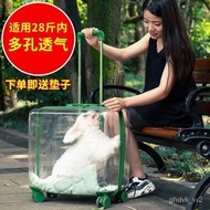 🚓Cat Bag out Trolley Case Trolley Pet out Bag Cage Portable Bag Space Capsule Cat Transparent Bag