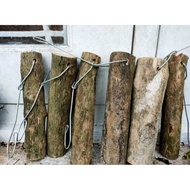 Batang kayu kopi media tanam anggrek/batang kayu kaliandra media tanam anggrek/media anggrek hias