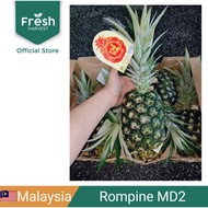 Rompine MD2 Pineapple 黄梨