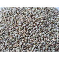 Chinese Barley/Barley Barley 300g