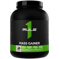 RULE 1 PROTEINS R1 Mass Gainer - Cookies & Cream
