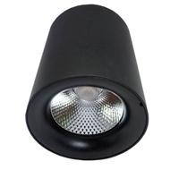 <AUTHORISED DEALER> YETPlus YE56-D 18W LED Surface Mounted Track Light Eyeball Spotlight (Black / Wh