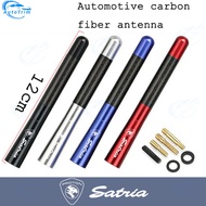 Universal 12cm Carbon Fiber Auto Roof Short Antenna Roof Antenna Radio FM Antena Black Kit for Satri