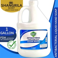 Mighty Shield Antibacterial Liquid Hand Soap - Shangrila Scent 1 GALLON - LIQUID HAND SOAP 1 GALLON