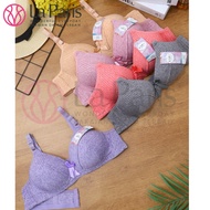 Women's BRA Without Wire Foam Cup Jumbo C Large Semi Motif Hook 3 Vip 8 CM981 9922 38 - 44