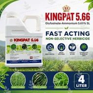 Kingpat 4 Liter Glufosinate-Ammonium 5.66% (Same As Buick 5.66 Rainpat 566 Tepat) Racun Rumpai Rumpu