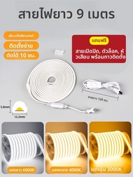 PAIMIJI | แถบไฟ LED 220V