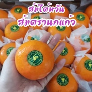 ส้มไต้หวัน ตรานกแก้ว Size L ส้มแมนดาริน ไต้หวัน Mandarin Orange (ยกลัง6-7KG/ไซส์L/38-42ลูก) ส้มพันธุ