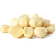 Unbaked-Raw Macadamia Nuts 600g 4L