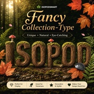 [Ready Stock] Terrestrial Habitat Decor | Fancy Isopods Collection Series | Humidity-Loving Pet Habi