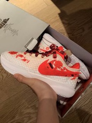 Lebron 20