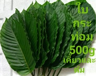 ใบกระท่อมสด ครึ่งกิโลกรัม60บาท