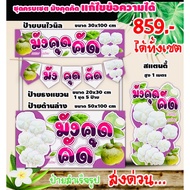 Selected Mangosteen Signs Set Of Complete Of Get A Sign On Lower Flag Standee Total Of 4 Pieces You 