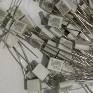 Thermal Fuse 2A 250V fan Fuse