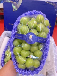 องุ่น เขียวไชมัสคัส shine muscat  ตรานกแก้ว หวาน หอม เนื้อวุ้นคล้ายลิ้นจี่ กรอบ อร่อย องุ่นนำเข้า อง