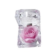 Eternal Rose - Eternal Rose With Acrylic Box - Preserved Rose With Acrylic Box - Rose Valentine's Da